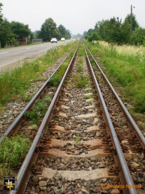 The Russians are Coming
Actually, they've been and gone.  Russian wide-guage track laid in combination with European standard, to allow the use of Russian wagons for export of wood products. 
Keywords: Jun19;scenes