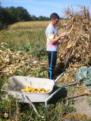 Garden Harvest at Casa Neemia
Stripping maize cobs
Keywords: sep19;pub1910o;pub1910o