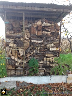 Firewood for Donation
Keywords: nov22;wood;pub2212d