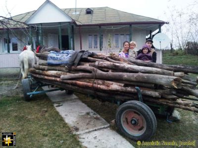 Preparing for Winter
Keywords: Nov13;wood;Fam-Prelipca