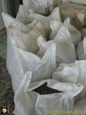 Pressing Sunflower Seeds for Oil
Sunflower seeds grown at the AN warehouse
Keywords: Sep15;AN-Crops;pub1510o