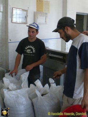 Pressing Sunflower Seeds for Oil
Marian and Costel
Keywords: Sep15;AN-Crops;pub1510o