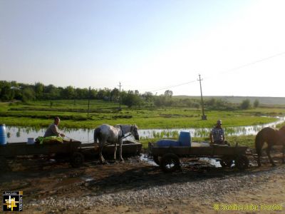 At the Water Trough
Keywords: Jun16;Juler.C