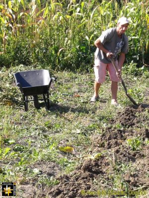 Getting the Wheelbarrow Dirty
Keywords: sep17;Casa.Neemia;pub1709s