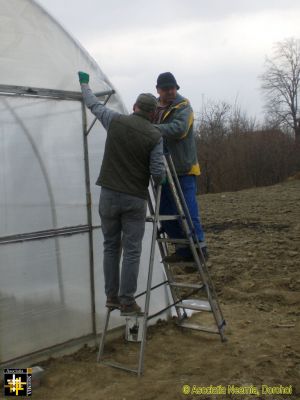 Balancing Act
The polytunnel at Casa Neemia needed to be repaired after wind damage.
Keywords: Mar19;Casa.Neemia