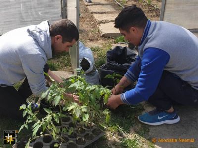 Casa Neemia: Garden Preparation
Keywords: apr20;Casa.Neemia