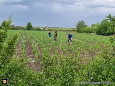 Land at the Warehouse
Keywords: May24;Dealu.Mare