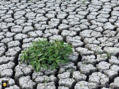 Clinging on
A severe drought in north east Romania
Keywords: aug24;scenes;pub2409s