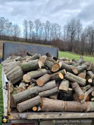 A Donation of Firewood
Keywords: dec24