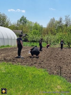 Planting at Casa Neemia
Keywords: apr25;pub2505m