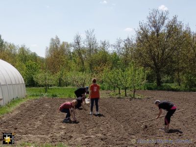 Planting at Casa Neemia
Keywords: may25,pub2505m