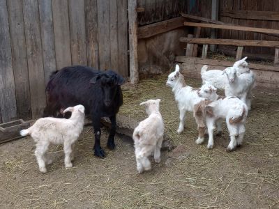 New Kids on the Block
Keywords: mar26;Scenes