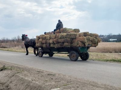 Who needs oil, anyway?
Keywords: mar26;Scenes