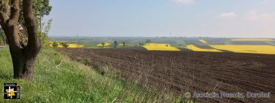 Romanian Agriculture
Keywords: may25