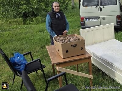 A Donation of Food and a Bed
Keywords: jun26;pub2607j