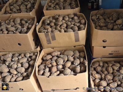 A Ton of Potatoes
Keywords: jun26;pub2607j