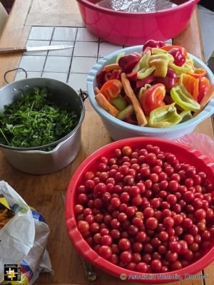 Produce from Casa Neemia
Keywords: sep26;pub2610o